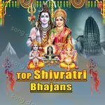 Top Shivratri Bhajans - Anuradha Paudwal Song Download